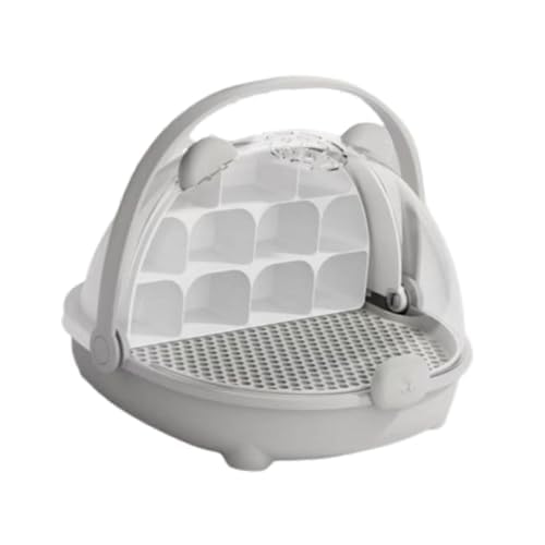 Silkworm Habitat Box pour observer les chenilles sans risque d'évasion