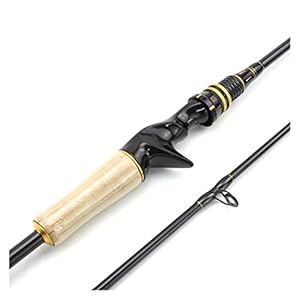 Visstang/visserspaal 1.8m Draaiende hengel M Power Carbon Snelle Actie Gieten Rod Lure Hengels Gewicht 7-25G Karper Trout Lokken Vissen Haspelcombo’s (Color : Sky blue, Length : 182cm)