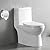Ally Dual-Flush Elongated One-Piece Toilet with Glazed Surface Modern Toilet with Comfort Seat Height DV-1F52816