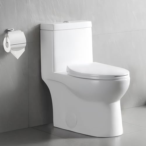 Ally Dual-Flush Elongated One-Piece Toilet with Glazed Surface Modern Toilet with Comfort Seat Height DV-1F52816