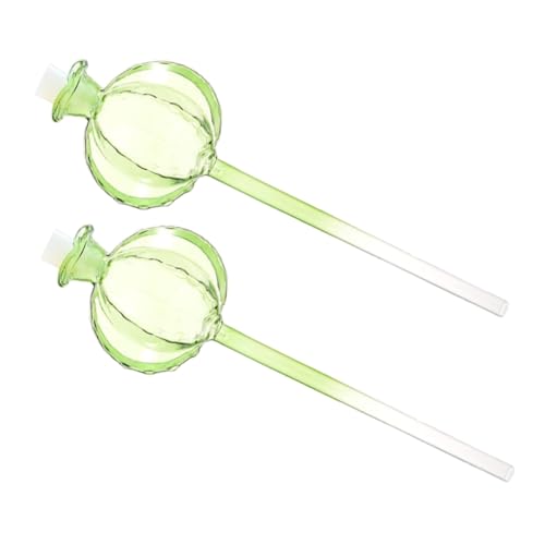 Happyyami 2個 仙人球自動水やりグローブ 耐久ガラス製室内用自己散水装置 植物鉢植え適用 簡単挿入土壌ゆっくり給水器