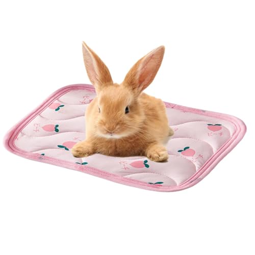Tapis rafraîchissant pour animaux de compagnie idéal pour l'été - 6