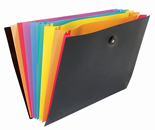 Viquel - Trieur 8 positions Rainbow Class en Polypropylène - Pochette extensible à soufflet Format A4