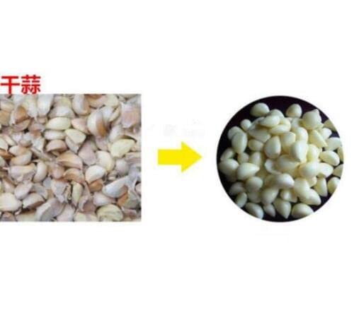 Garlic Peeling Machine Electric Garlic Peeler Household Commercial