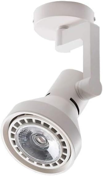 Projecteur réglable rotatif COB 20W à faisceau orientable
