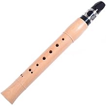 TSTS Pocket Clarinet Maple Small Black Pipe C Key Western Wind Instrument Mini Simple Wind Instrument Clarinet for Beginner
