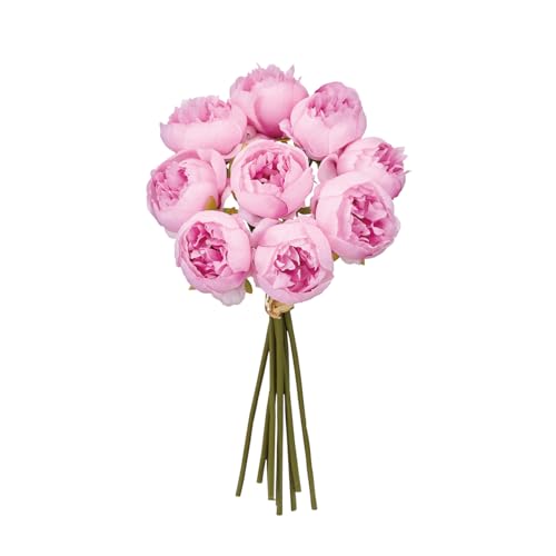 ������(Tokyodo) �A�[���[�s�I�j�[�u�[�P #002�_�[�N�s���N �Ԍa6×L35×W20cm 1�� (9�{) FM000409-002