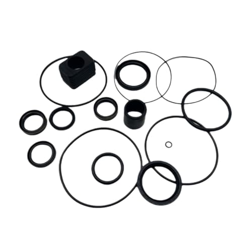 SxRakiO Dichtungssatz für VP DP-S Getriebe