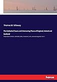 The Cathedral Towns and Intervening Places of England, Ireland and Scotland: A description of cities, cathedrals, lakes, mountains, ruins, and watering places. Vol. 1