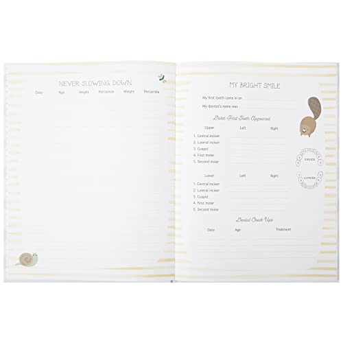 C.R. Gibson B2-24546 Little One Woodland Gender Neutral Baby Memory Book thumb #5