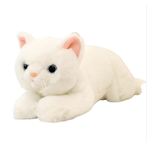 BIBAPU ӂӂLʂݕ - LEgEOєLoG[VbYQENbVpbLbYt@[XggCboYjEaEj[{tHgMtg (A,60CM) [sAi]