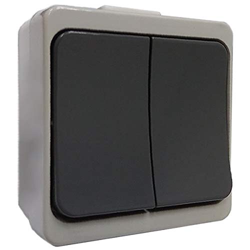 Interruptor doble WNT-2JB SZ, color gris