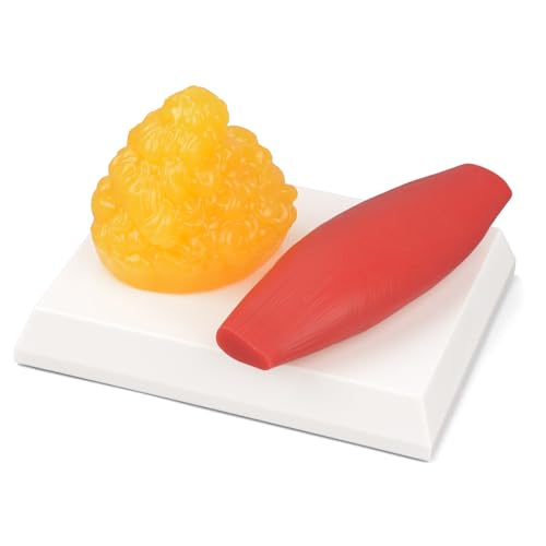 Human Body Muscle & Fat Replica 0.44lb with Display Base,Human Body Muscle and Fat Model,Detailed...