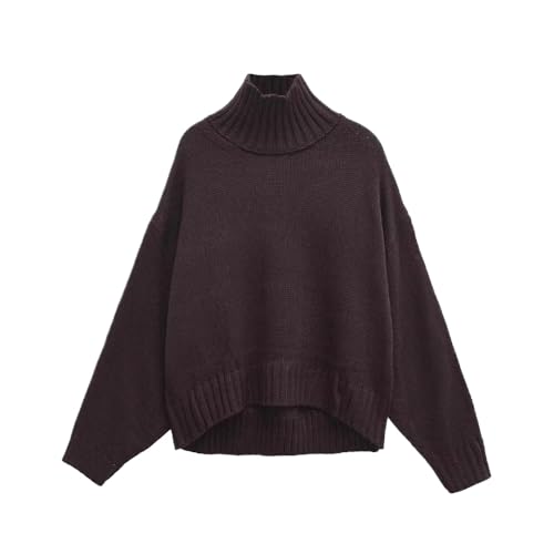 Women's Dark Brown Turtleneck Pullover Sweater Loose Fit Long Sleeve