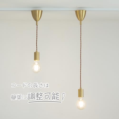 Amazon.co.jp: 智光電気