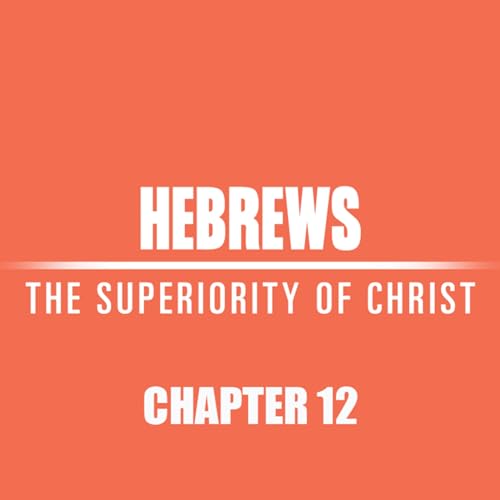 Hebrews 12 "Run with Endurance"