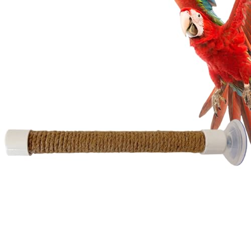 Bañera De Perca De Pájaro Loro Baño Subs Suffrandre - Succión De Succión Ventana De Pájaro Y Percha De Ducha | Ventana De Pájaro/Baño/Coche/Soporte De Percha De Viaje | Perchard Ave
