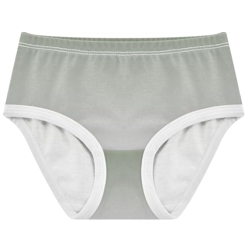 Animal Girls Underwear Toddlers 2t Cotton Panties for Girl Camouflage Green Magnolia Gradient Underpants Briefs