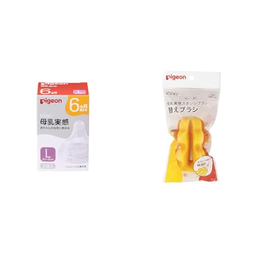 PIGEON sW   6 L 2 K؂ȋz(b`I)ɓ + X|WuV ւuVyZbgz