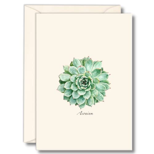 Image of Earth Sky + Water - Succulent Notecard Set - 8 Blank Cards with Envelopes