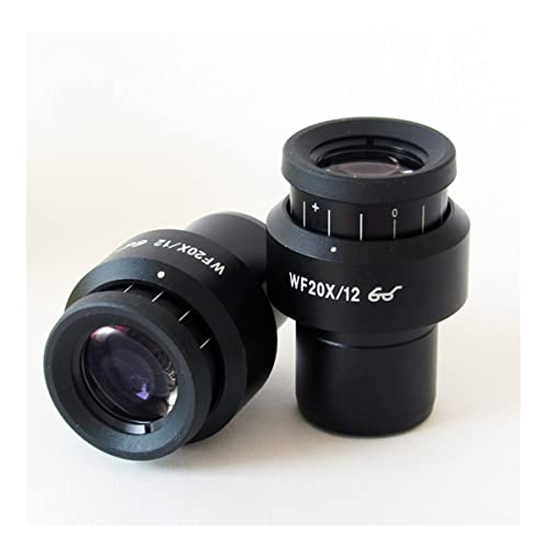 Lbg ڊ჌Y nCAC|Cg\tbgtB[hWF20Xڊ჌YǍ20{ڊ჌Y30mmC^[tFCX YA_v^[