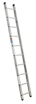 Werner D1510-1 300-Pound Duty Rating Aluminum Flat D-Rung Extension Ladder, 10-Foot