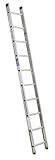 Werner Ladder D1510-1