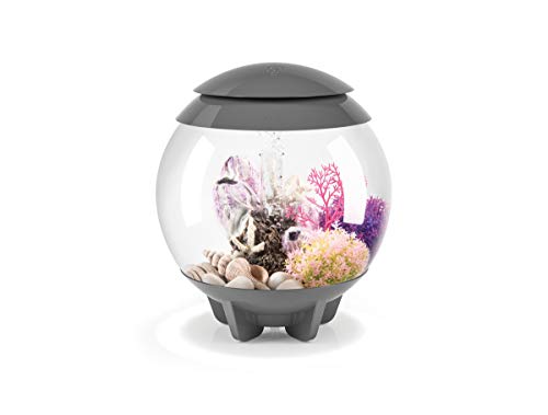 Corail corné S rose biOrb : sculpture décorative synthétique pour fond de bac