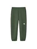 [THE NORTH FACE] [ザ・ノース・フェイス] スウェット ロングパンツ Tech Air Sweat Pant アルパイン M