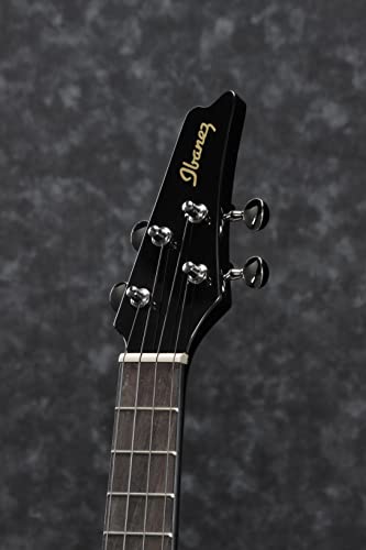 Ibanez UICT10-BK, Noir - Les Beatles, Paul McCartney, John Lennon, RIngo Starr, George Harrison Ibanez UICT10-BK, Noir – Image 6