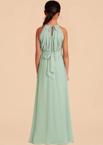 Junior Bridesmaid Dresses Long Halter Chiffon Flower Girls Dresses for Teen PT1143