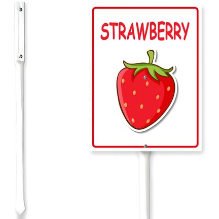 Horienteeon Strawberry Sign With Stake Vegetable Garden Marker For Yard Fresh Herb Neighborhood Aluminium Street Wildflowers Home Farm Garden Porch Decor Outside Outdoor Lawn 6x4.6" — image 1