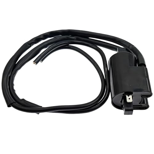 Bobina de encendido con chispa estable de 12V para motos Yamaha FZR600 y FZ750