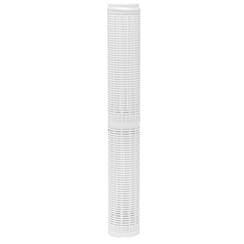 Superior Pump 91601 2-Inch FPT Lake Screen Filter, 2 Inches, Natural