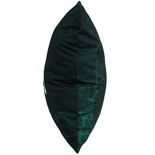 Image of Michigan State Spartans 2 Sided Color Swept Decorative Pillow, 16 inch, Made in The USA