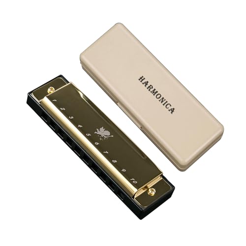 AIZELAISU n[jJ 10z[Yn[jJ 1020n[jJ 10n[jJ 10u[Xn[jJ C v̊y HARMONICA l S K w iS[hj