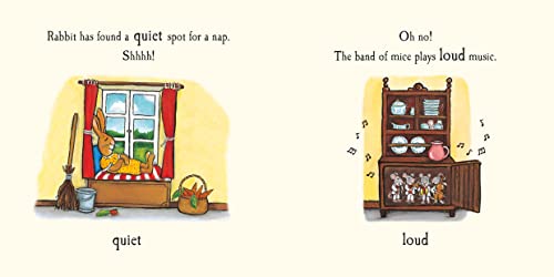 Macmillan Children's Books Tales From Acorn Wood Little Library