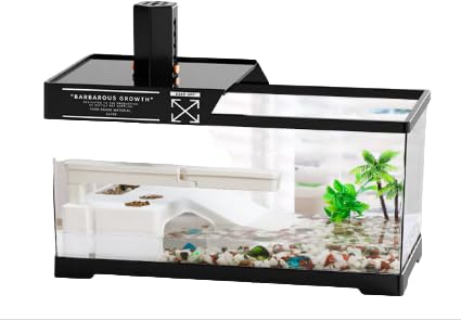 ɐBp̑召̐ B̓oRvbgtH[ J̐Ԍiϐ rO[̉ƒpvX`bN (30x18.5x18cm,ubN [OWA[gbvpbP[W])