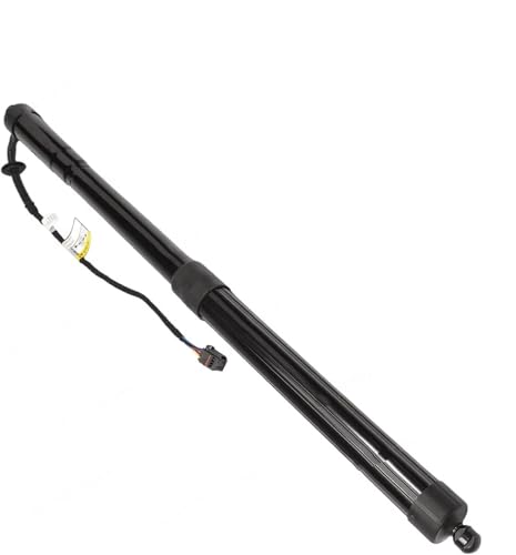 Paire de vérins de hayon électrique 95851285104 pour Cayenne 958 2011-2014 Qualité Premium