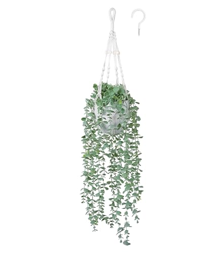 DREAMLOOM Fake Hanging Plants with Pot Artificial Eucalyptus Hanging Plants with Macrame Hanger for Indoor Decor Fake Hanging Vines Faux Greenery for Home Kitchen Office