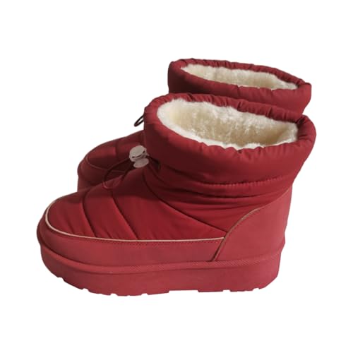 [] [gu[c fB[X  Xm[u[c tt C {A  ~  r K h ۉ  ʊw ʋ JWA IV AEghA t@bV wlC l H~ 23.0 cm