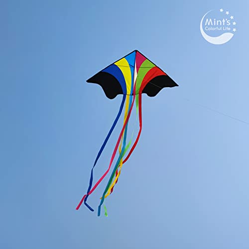 Mint's Colorful Life Delta Kite For Kids & Adults, Extremely Easy To Fly Kite (Flying Rainbow) #TOP2