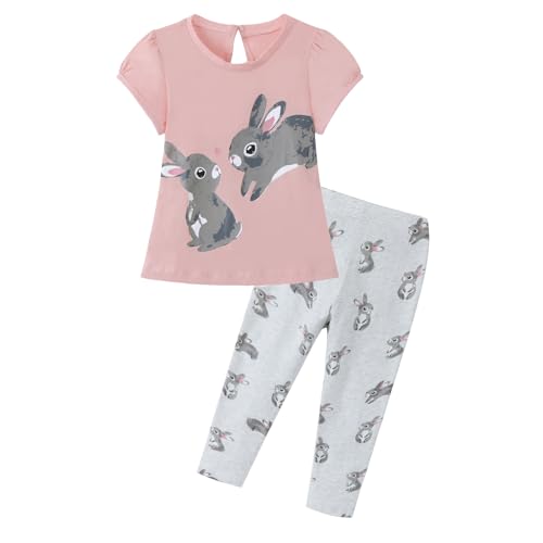 Image of HILEELANG Toddler Girl Easter Outfit Spring Summer Cotton Leggings Pants Tees Shirts Clothing Sets