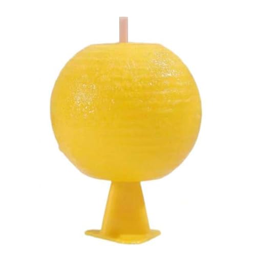 GETBSTOOP Fruit Fly Traps trampas pegajosas Citrus con forma de interior al aire libre (b)