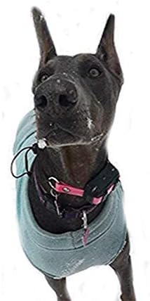 Miniatura 9 de Sparky Pet Co - Correa de repuesto ECollar - Collar de perro elástico - Impermeable - Ajustable - Bloqueo de rueda Nexus seguro - para entrenamiento