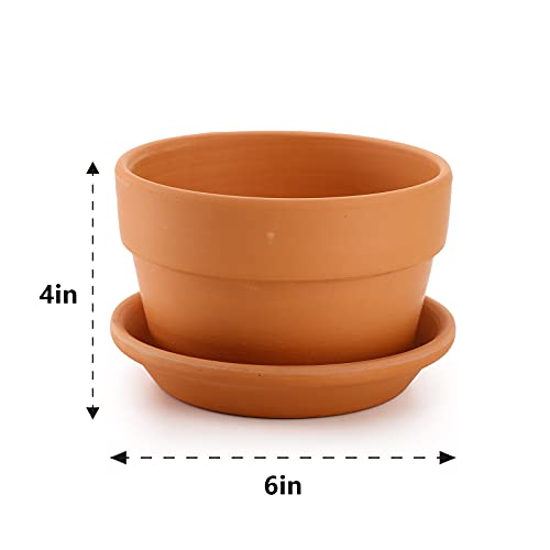 Suwimut 4 Pack Terracotta Pots with Saucer, 15cm/6 Inch Large Terra Cotta Plant Pot with Drainage Hole, Clay Flower Planter Pot with Tray for Indoor Outdoor Plant