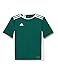 adidas Entrada 18 Jersey, Maglia Unisex Bambini, Collegiate Green/White, 164