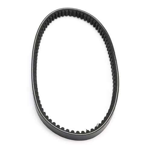 Courroie trapezoidale pour SYM GTS 125 et Joymax 125i - 3