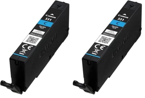 Éviter les buses bouchées sur PIXMA TS8750 grâce au lot Canon CLI-531 cyan