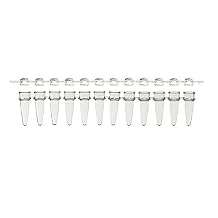 Amplifyt PCR 12-Strip Tube & Domed Strip Cap Packs, 0.2 mL, Clear, Pack of 80
